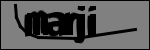 متن برای شناسایی